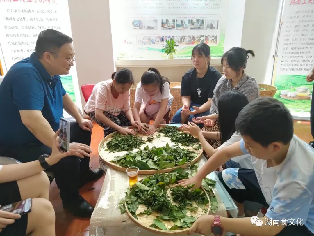 原載人民日?qǐng)?bào)“人民視點(diǎn)”茶葉是怎樣做出來(lái)的？湖南大、中、小學(xué)生體驗(yàn)湖南工夫紅茶制作